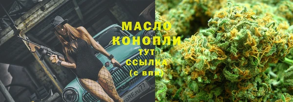 mix Богородицк